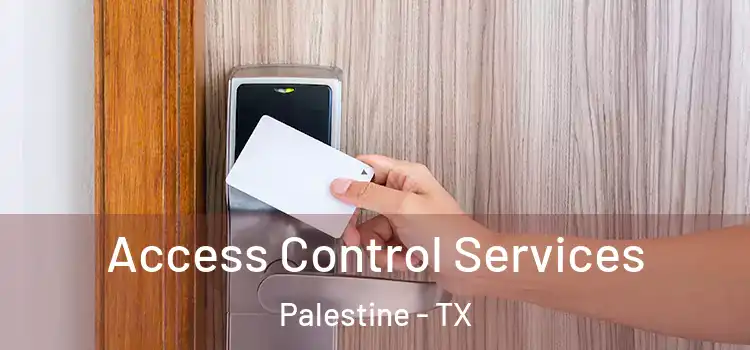 Access Control Services Palestine - TX
