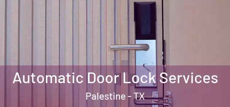 Automatic Door Lock Services Palestine - TX
