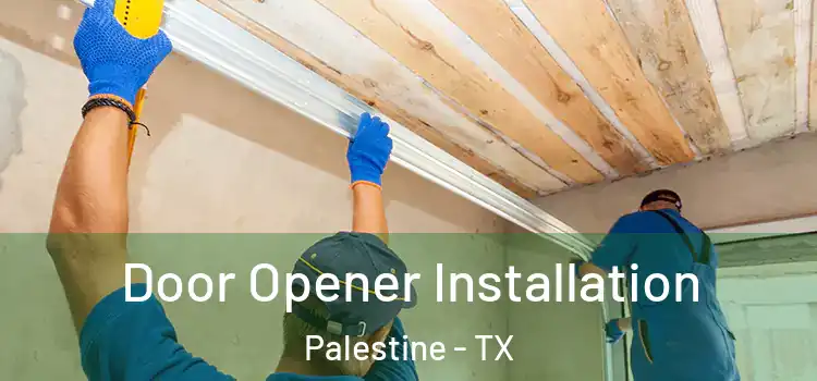 Door Opener Installation Palestine - TX