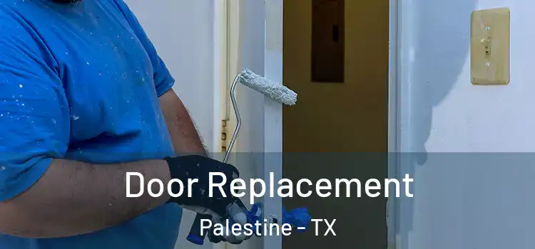 Door Replacement Palestine - TX