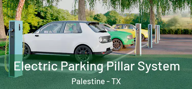 Electric Parking Pillar System Palestine - TX