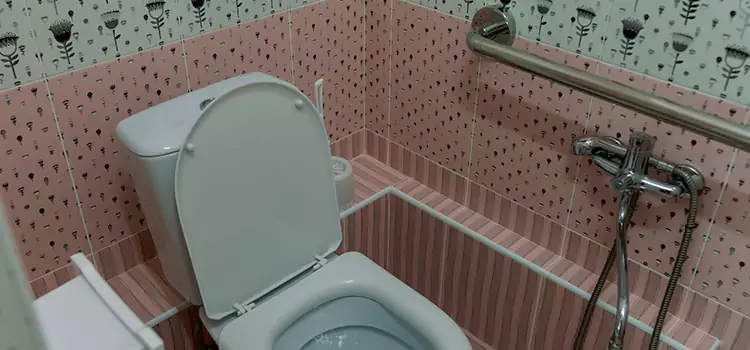 Meeting Diverse Needs With Accessible Restroom Solutions in Palestine, TX