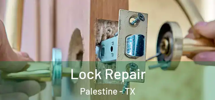Lock Repair Palestine - TX