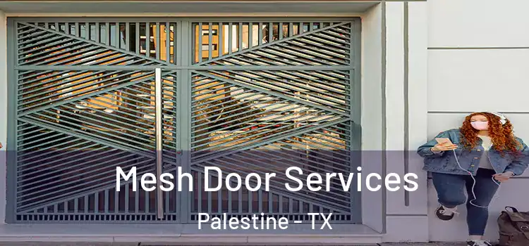 Mesh Door Services Palestine - TX